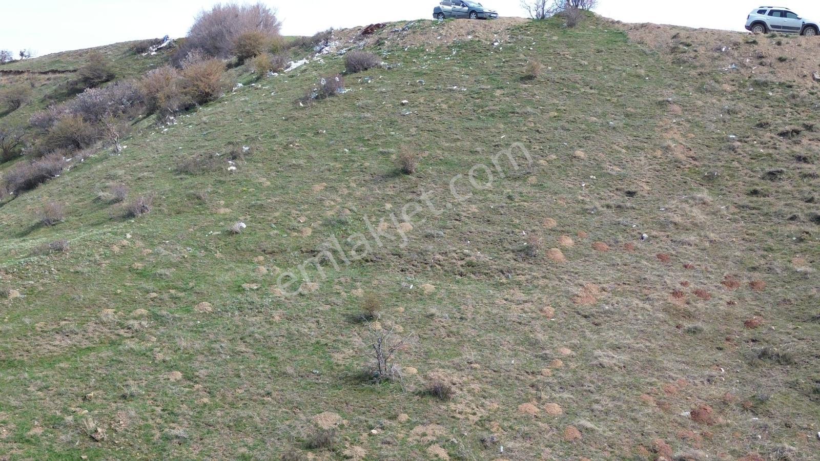 Han'dan Kösrelik Göl Manzralı Yol Cepheli 1/2 Hisseli Arsa - Görsel 25
