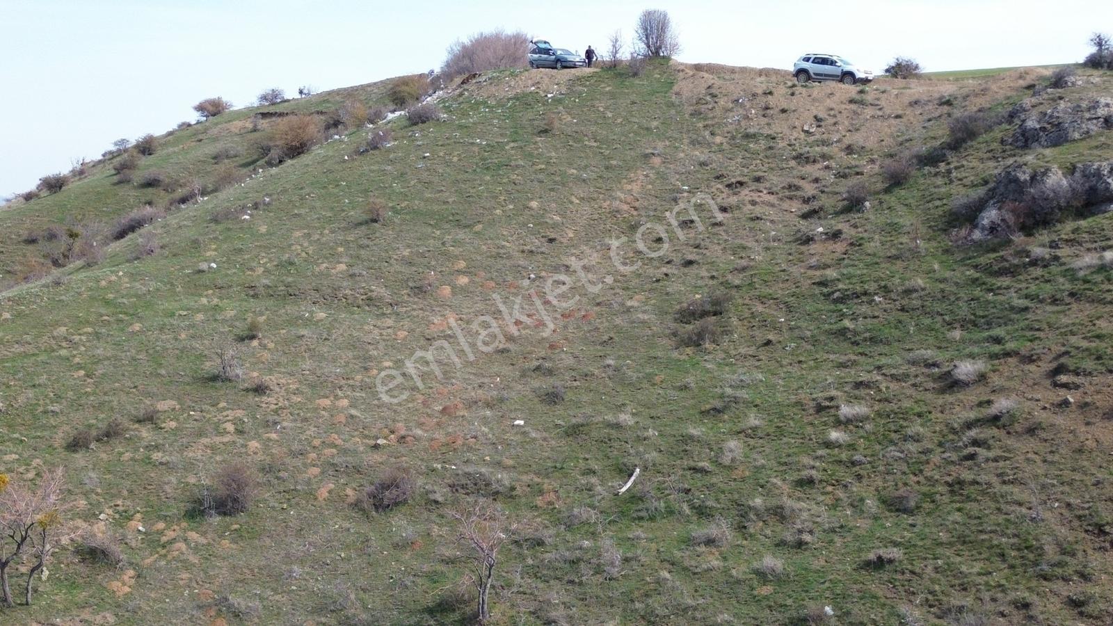 Han'dan Kösrelik Göl Manzralı Yol Cepheli 1/2 Hisseli Arsa - Görsel 6