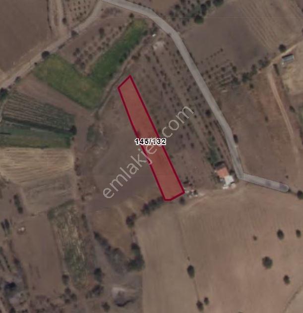 Merkeze 25 Km Mesafede Müstakil Bahçe - Görsel 3