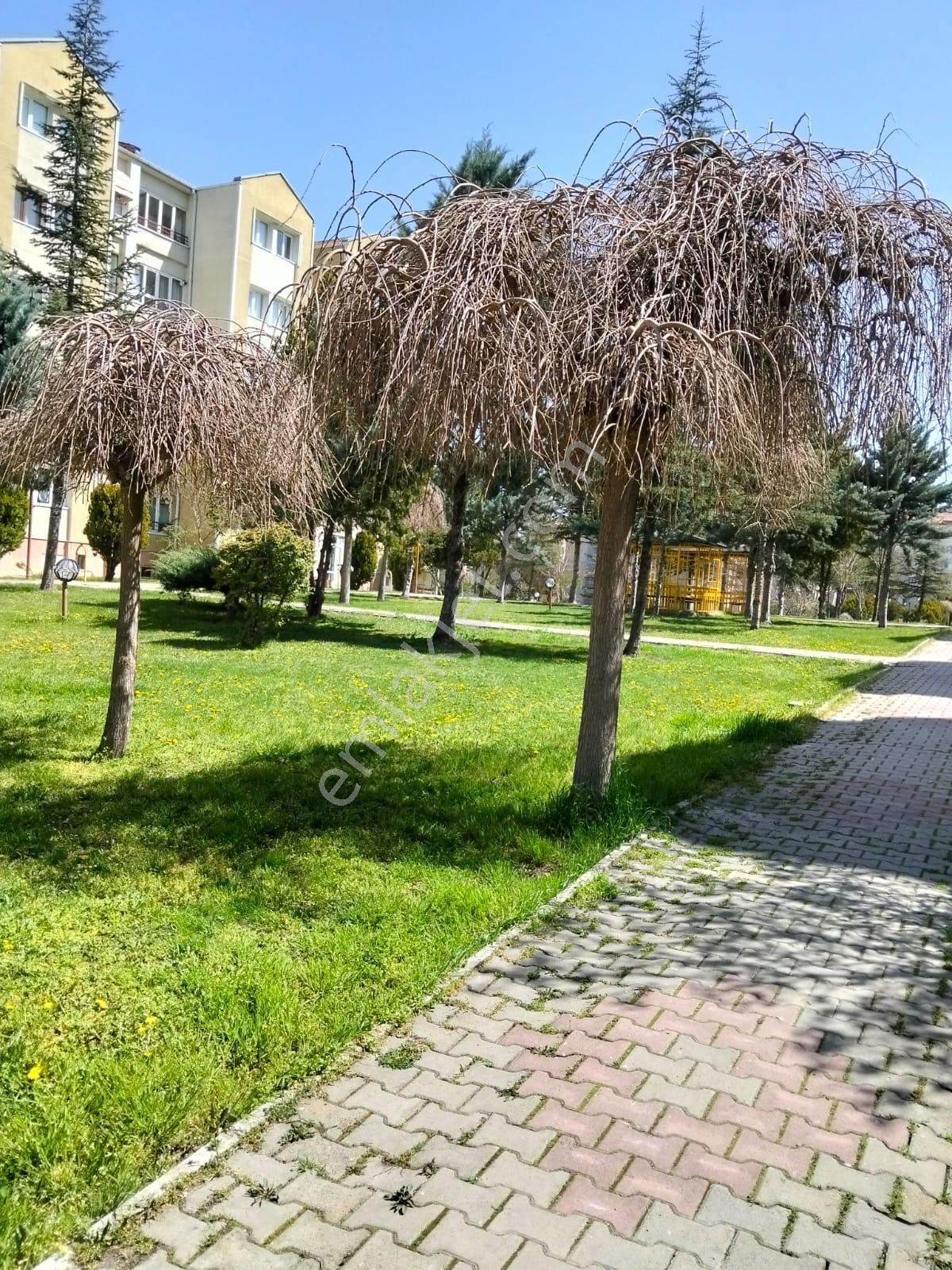 Etimesgut Oğuzlar Mahallesi’nde Satılık 3+1 Satılık Daire - Görsel 5