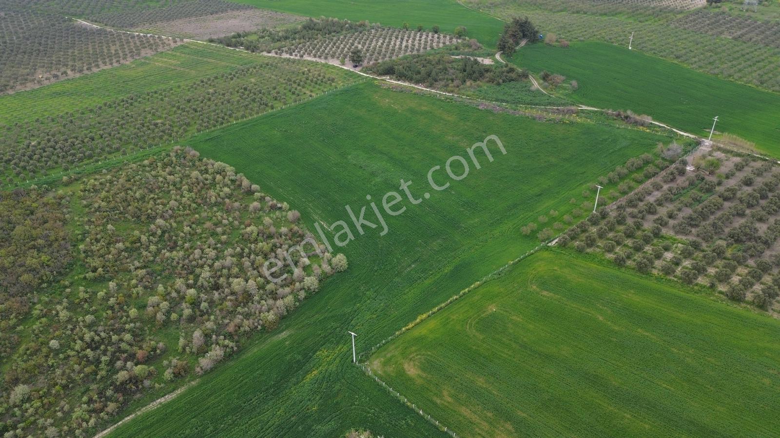 Manisa Soma Dualar Mevkiinde Satılık Tarla Ges İzinli 86.800 M² - Görsel 22