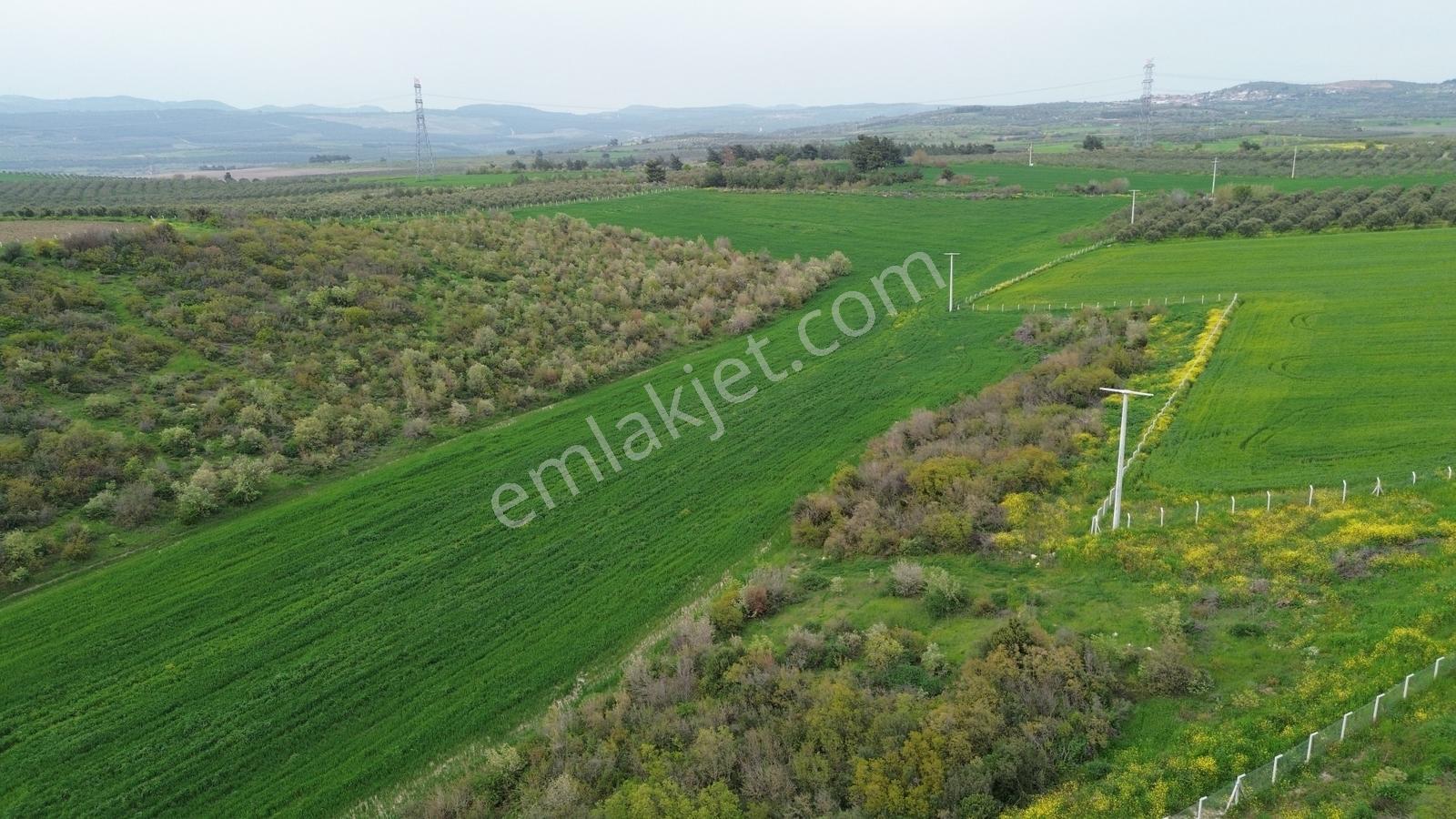 Manisa Soma Dualar Mevkiinde Satılık Tarla Ges İzinli 86.800 M² - Görsel 7