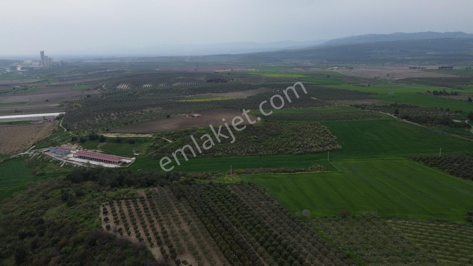 Manisa Soma Dualar Mevkiinde Satılık Tarla Ges İzinli 86.800 M² - Görsel 25