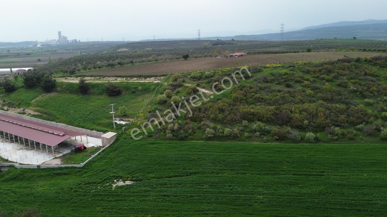 Manisa Soma Dualar Mevkiinde Satılık Tarla Ges İzinli 86.800 M² - Görsel 17