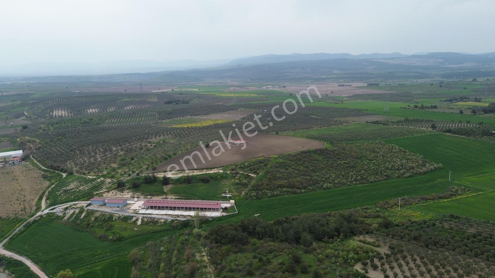Manisa Soma Dualar Mevkiinde Satılık Tarla Ges İzinli 86.800 M² - Görsel 27