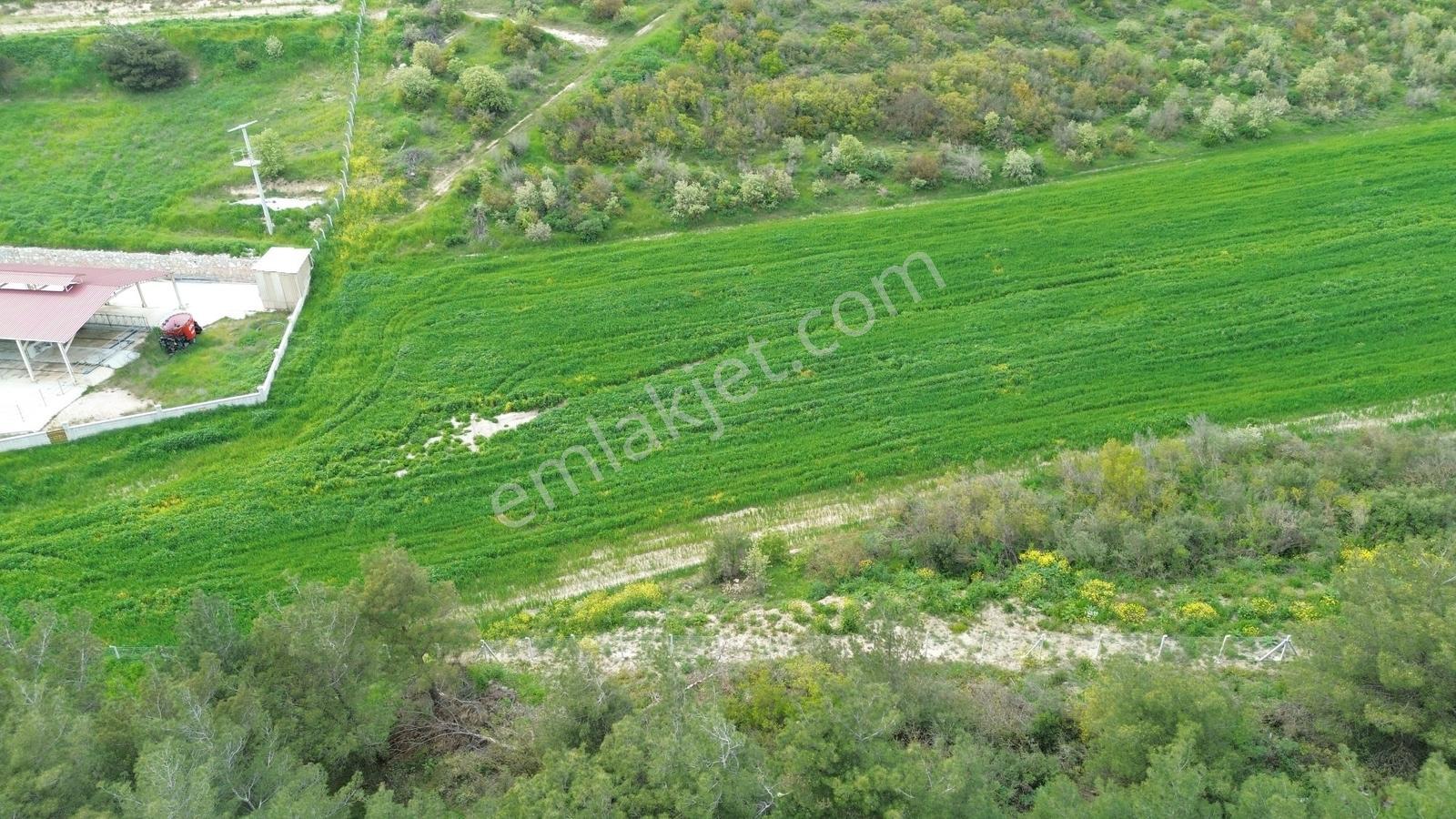 Manisa Soma Dualar Mevkiinde Satılık Tarla Ges İzinli 86.800 M² - Görsel 6