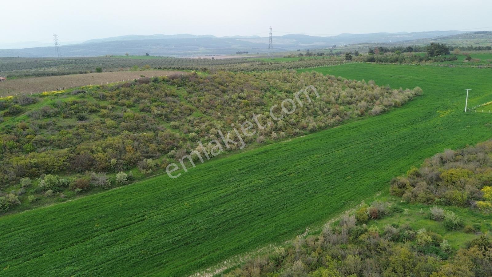 Manisa Soma Dualar Mevkiinde Satılık Tarla Ges İzinli 86.800 M² - Görsel 14