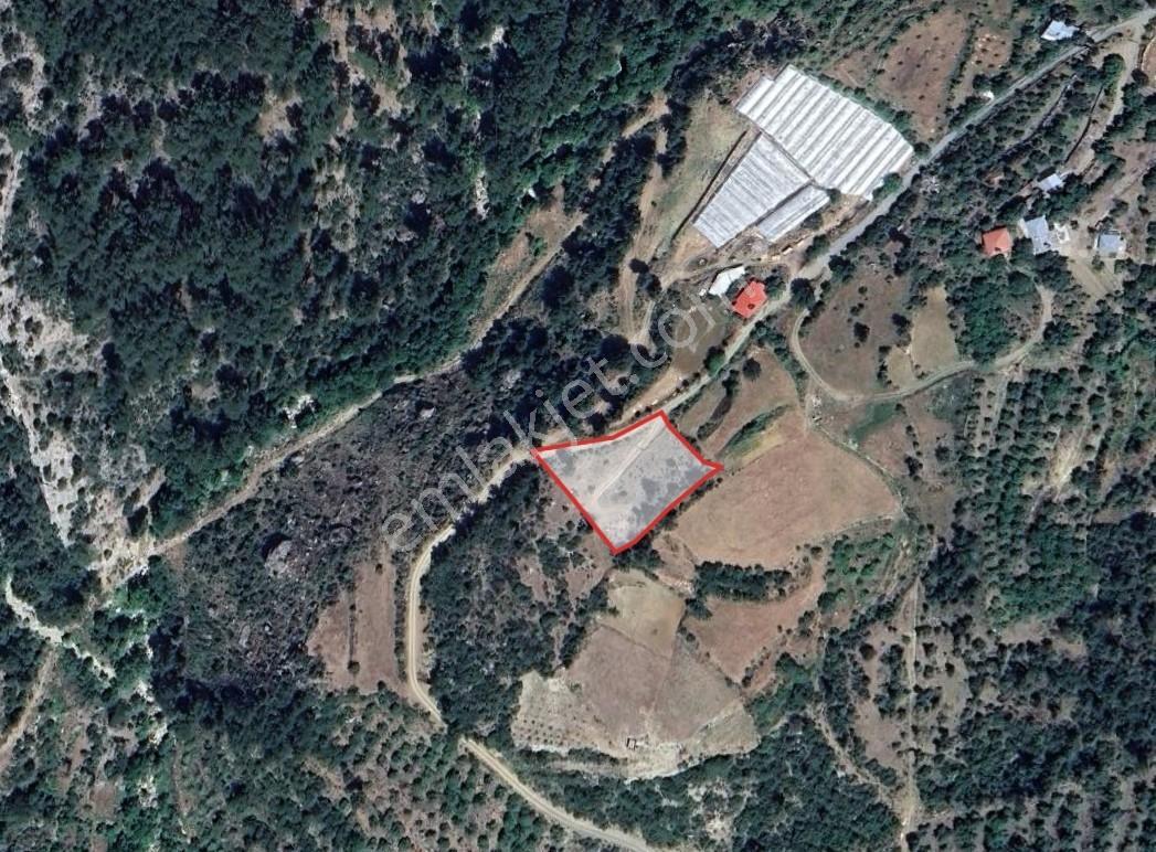 Dutlu Da Yola Cepheli Satılık Fırsat Tarla - Görsel 11