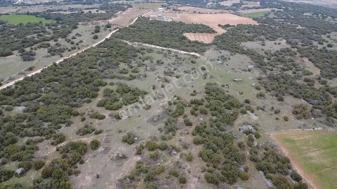 Kocabıyık Gayrimenkul'den Denizli Güney 38.000m2 Fırsat Tarla - Görsel 3