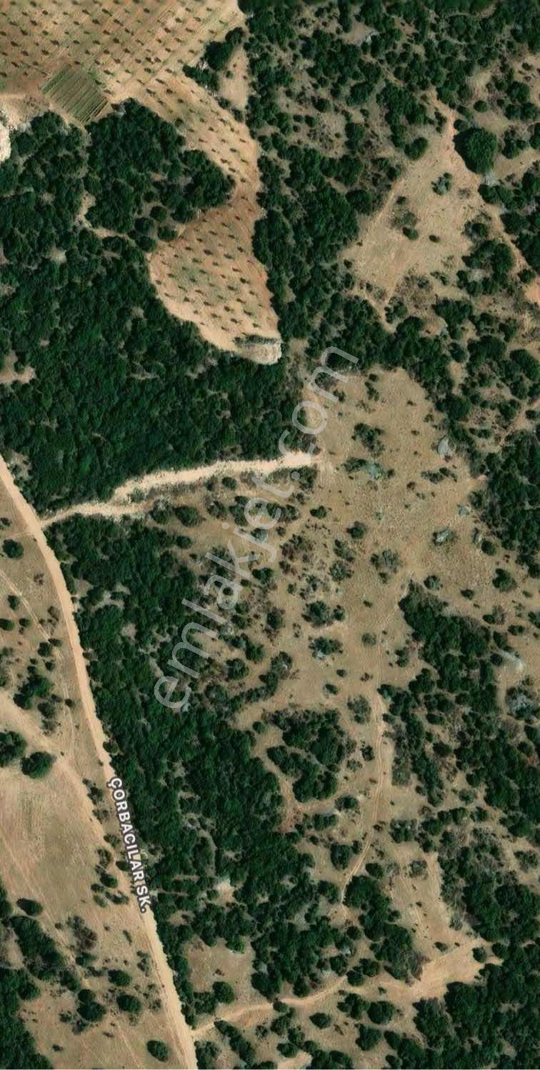 Kocabıyık Gayrimenkul'den Denizli Güney 38.000m2 Fırsat Tarla - Görsel 5
