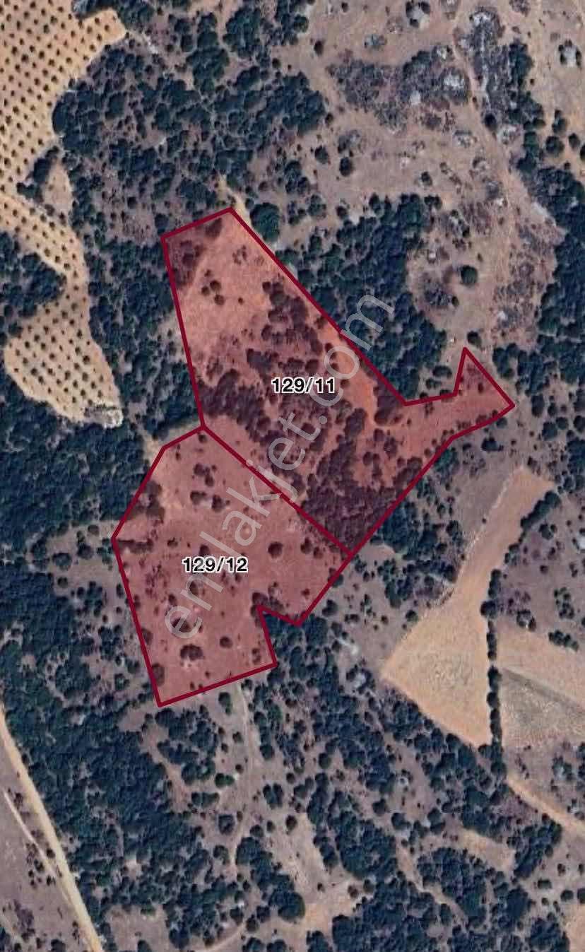 Kocabıyık Gayrimenkul'den Denizli Güney 38.000m2 Fırsat Tarla - Görsel 7