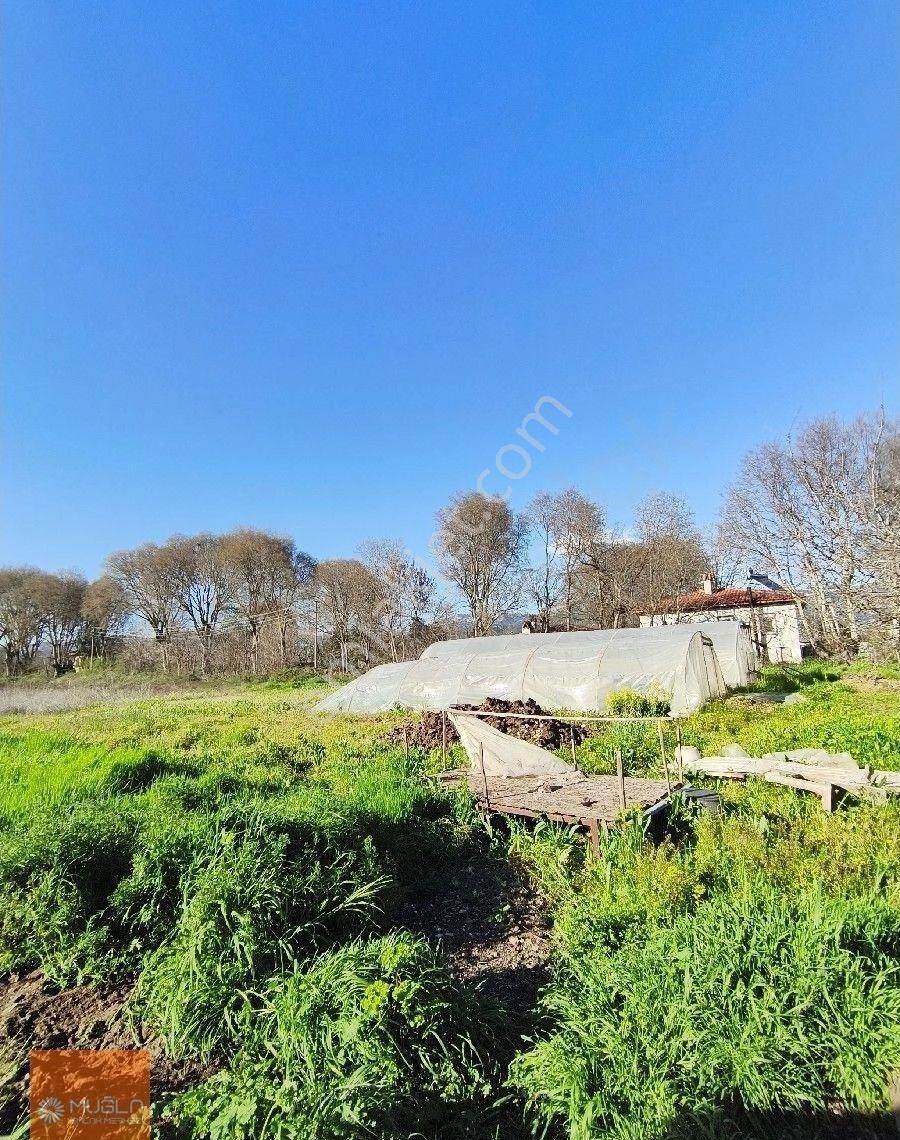 Muğla Karabağlar Yaylası Satılık Ev Ve Arazi - Görsel 15