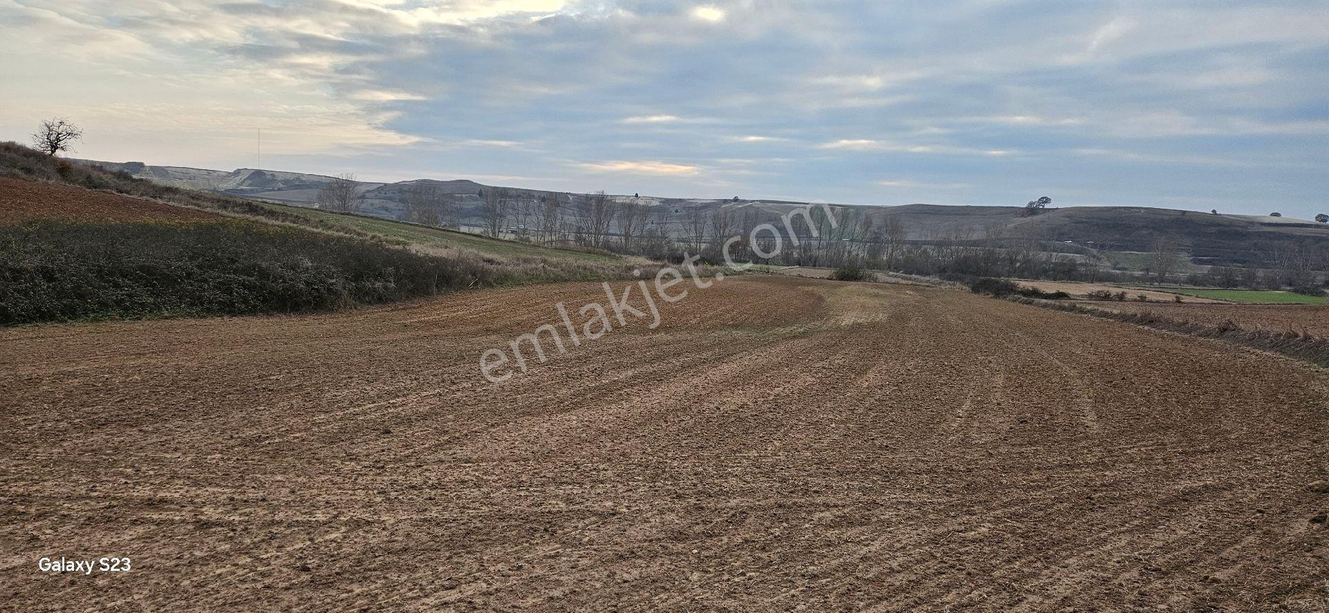 Kapaklı Karlı'da 6.042 M2 - Görsel 16