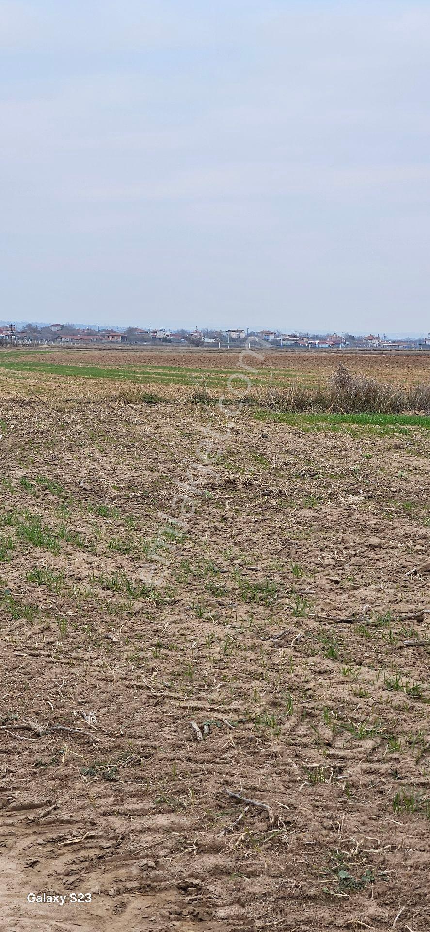 Kapaklı Karlı'da 6.042 M2 - Görsel 8