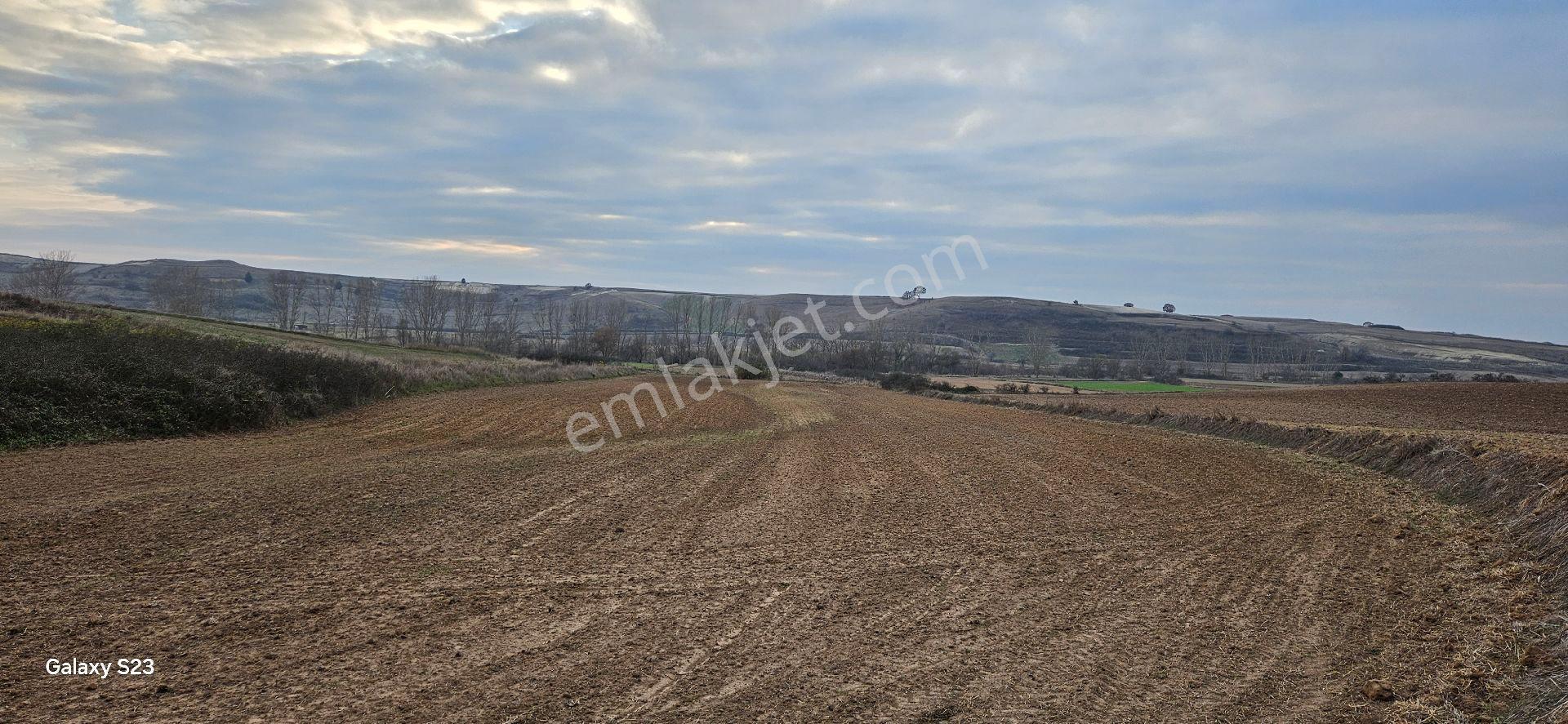Kapaklı Karlı'da 6.042 M2 - Görsel 29