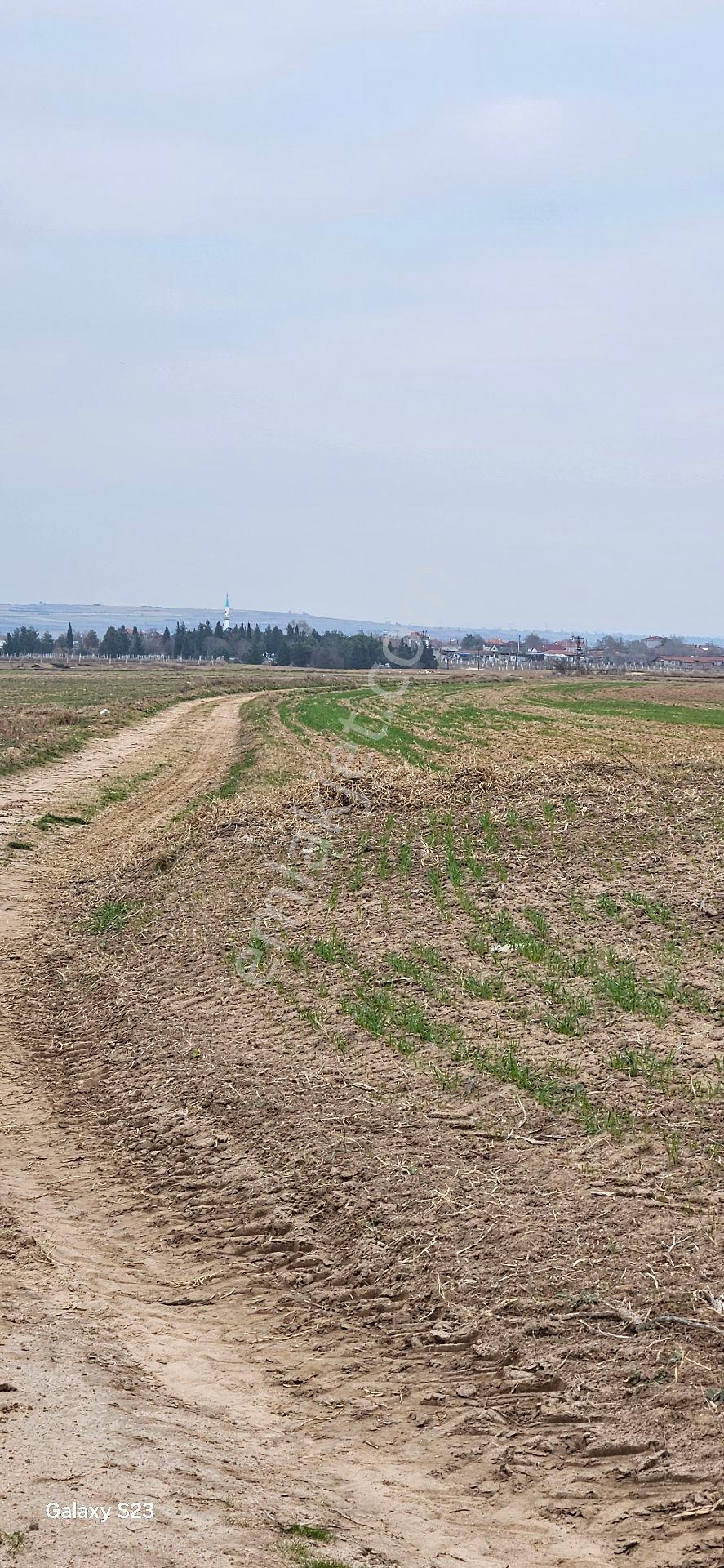 Kapaklı Karlı'da 6.042 M2 - Görsel 9