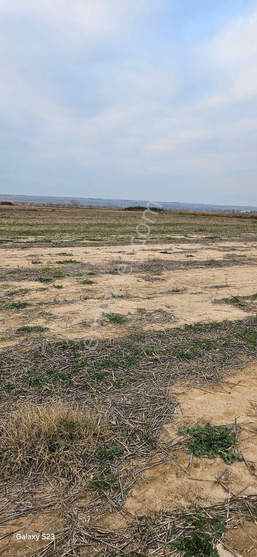 Kapaklı Karlı'da 6.042 M2 - Görsel 12