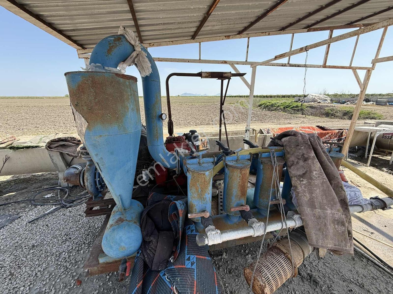 Adahan'dan 140 Dönüm 4 Yaşında Portakal Ve Mandalina - Görsel 3