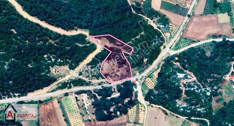 Muğla, Menteşe, Yenice'de Satılık Tarla - Görsel 5