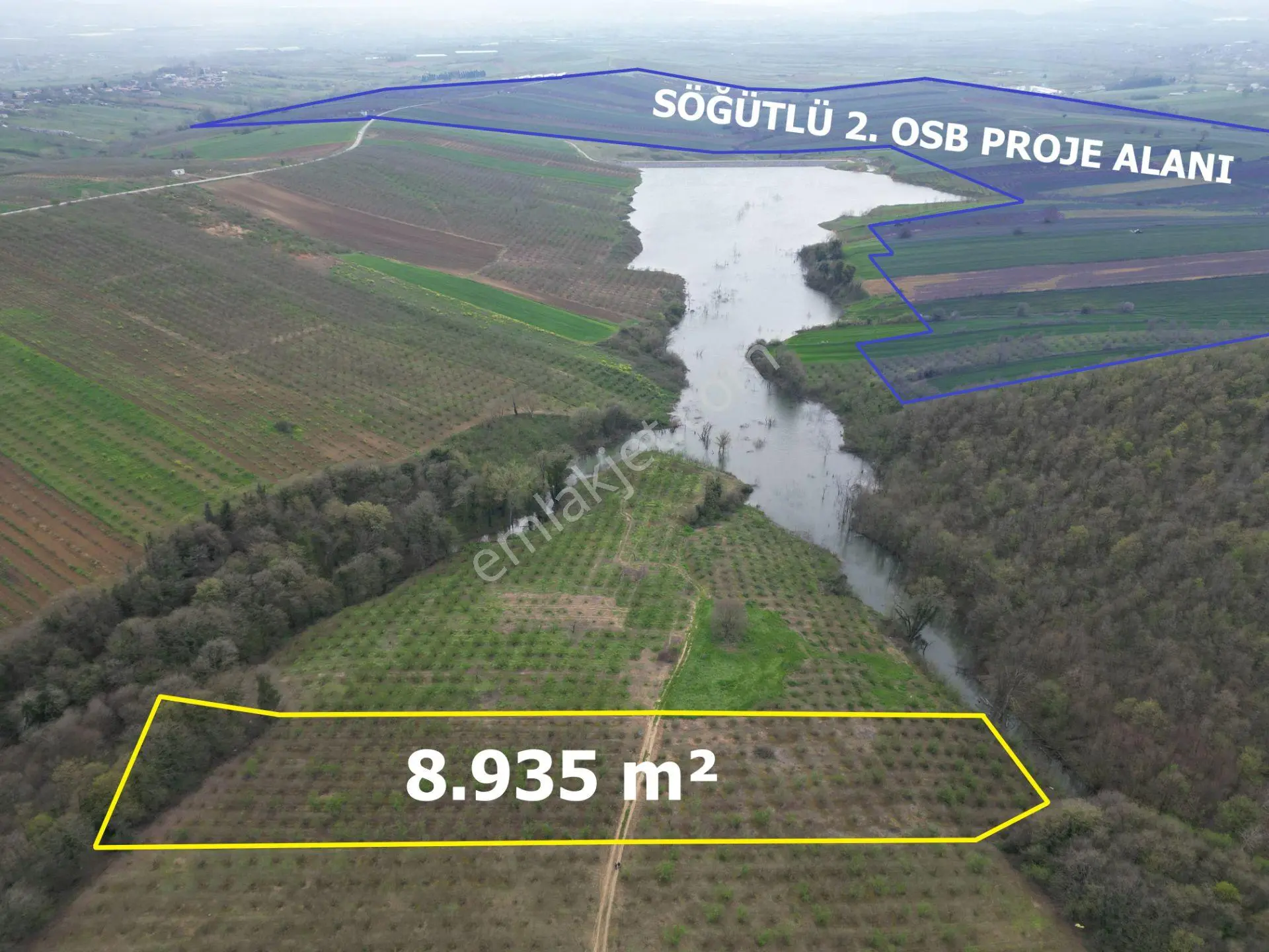Söğütlü 2. Osb Yanı | Göl Manzaralı, Resmi Yola Cepheli 8.935 M² Fındık Bahçesi