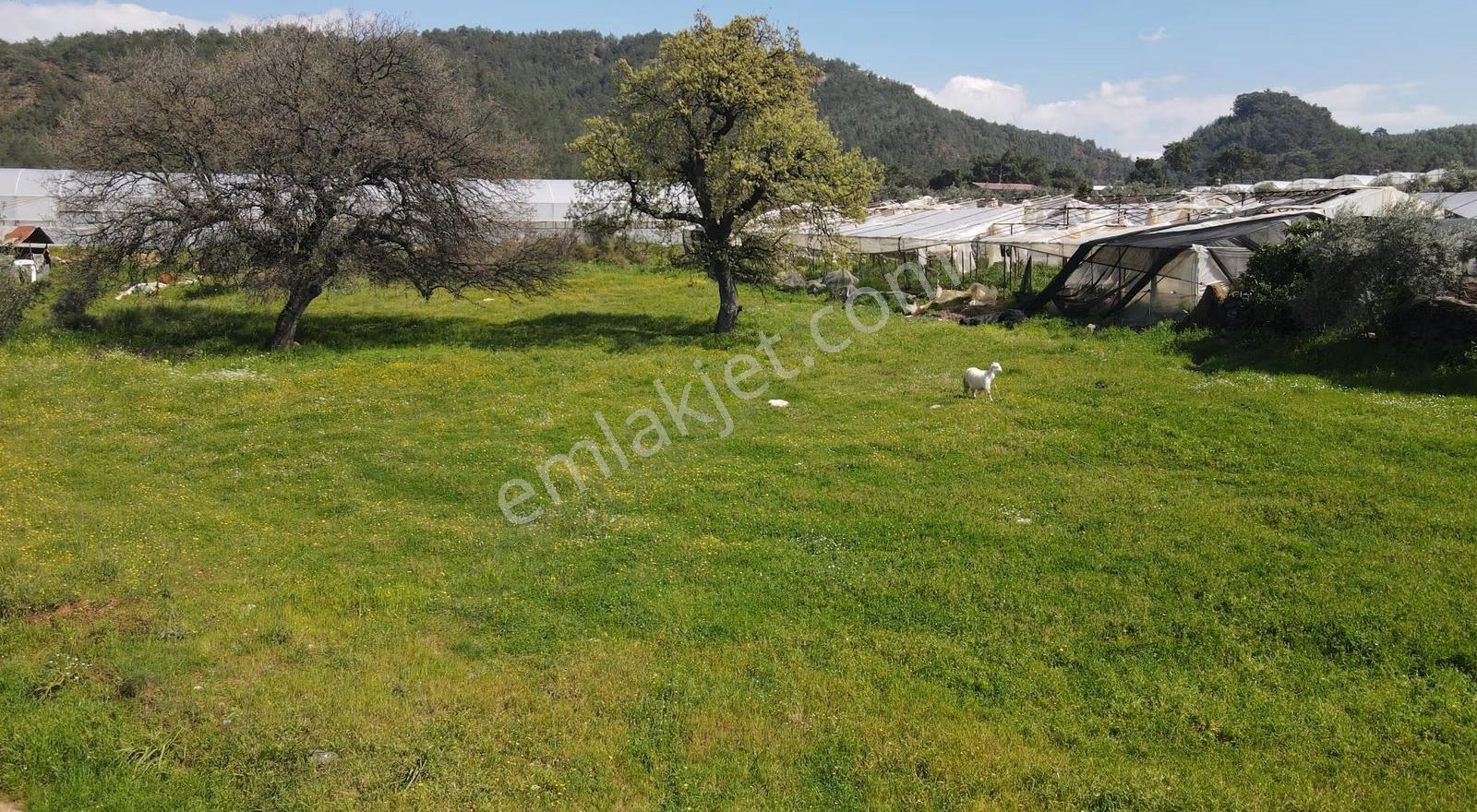 Bozyer'de Satılık Tek Tapu 912m² Arsa - Görsel 5