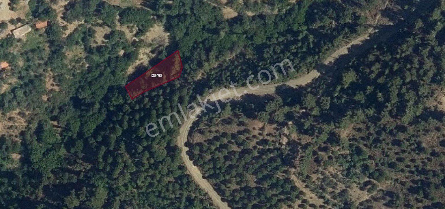 İzmir Bergama’da Acil Satılık Arsa - Görsel 2