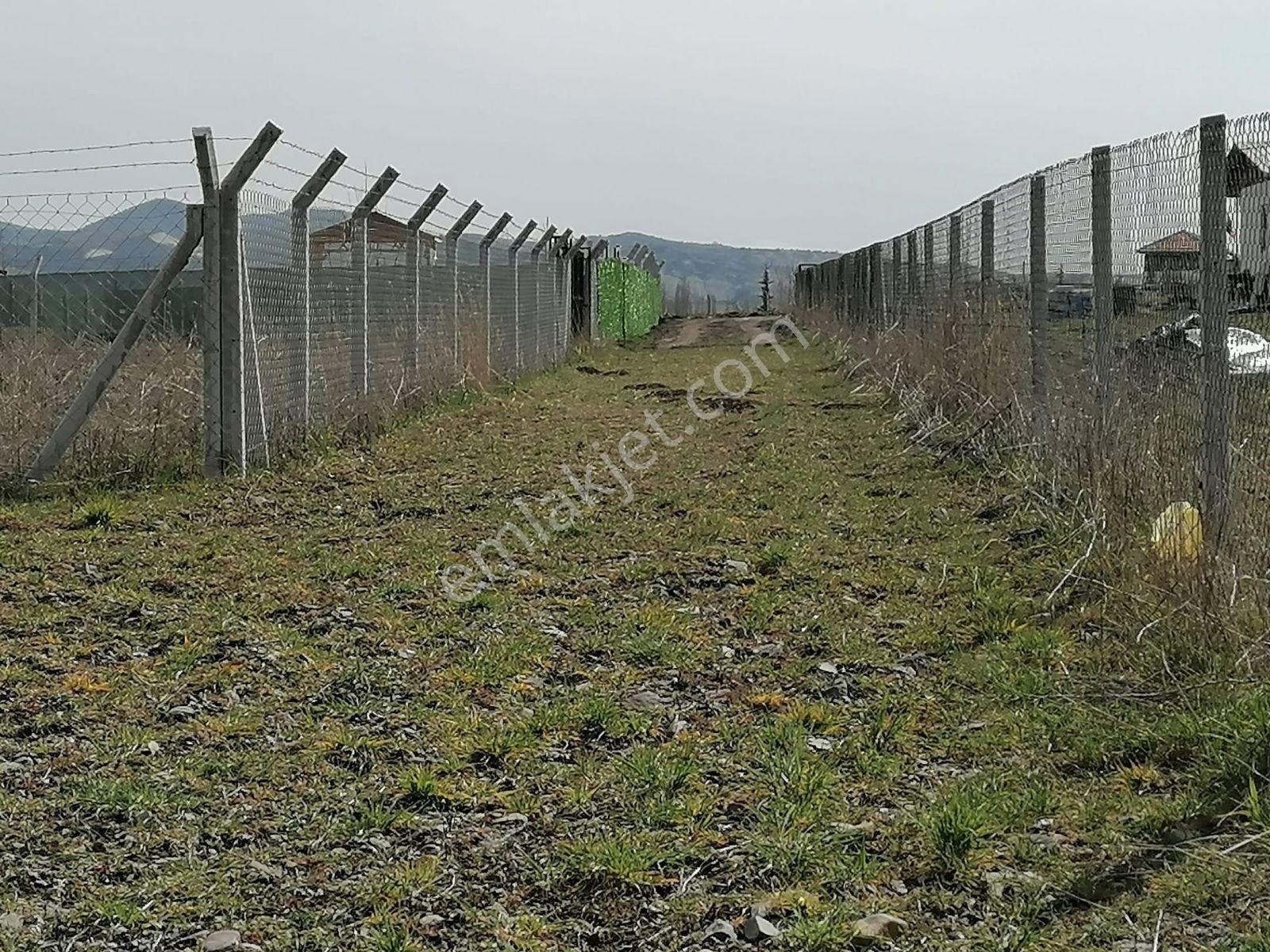 Murat Türkmen'den Ayaş_ortabereket'te 1000-m2_bahçe Fiyatı_düştü - Görsel 5