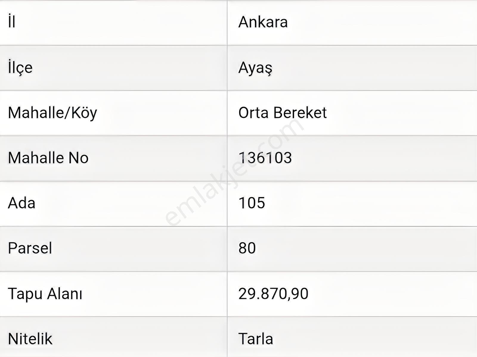 Murat Türkmen'den Ayaş_ortabereket'te 1000-m2_bahçe Fiyatı_düştü - Görsel 10