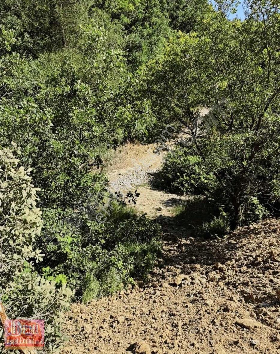 Yenişehir Selimiye Köyünde 1750 Metre Kare Satılık Arsa - Görsel 9