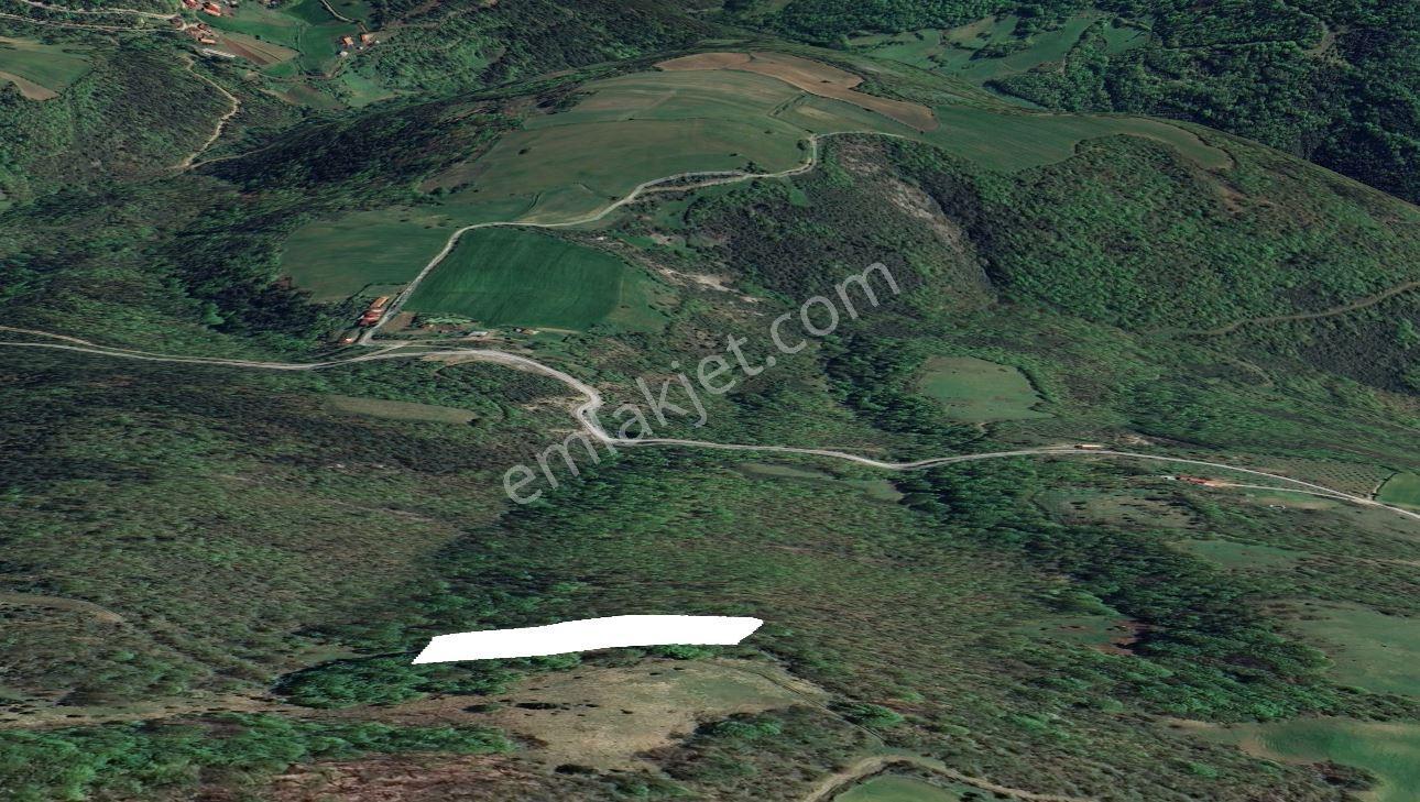 Bafra Kanlıgüneyde Fırsat Fiyata 3.758 Metrekare Tarla - Görsel 8