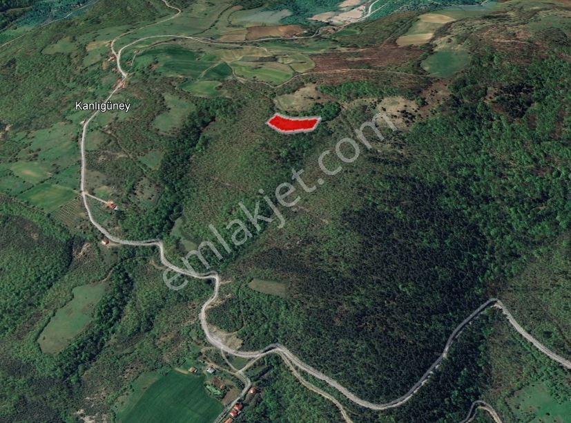 Bafra Kanlıgüneyde Fırsat Fiyata 3.758 Metrekare Tarla - Görsel 4