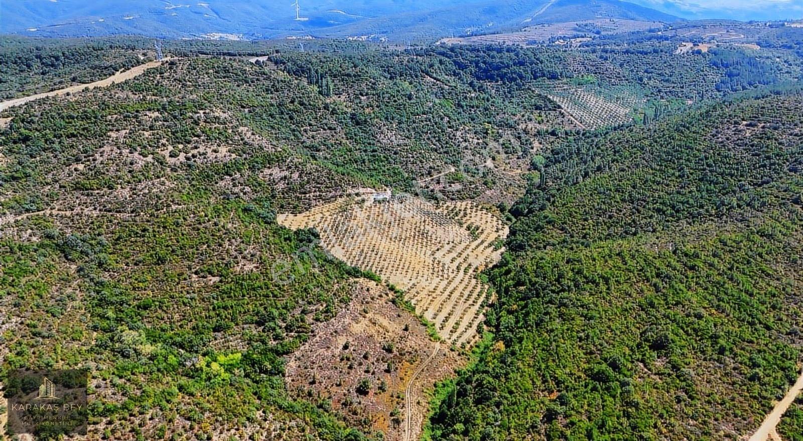 Bursa Gemlik Tarım Ve Yatırıma Uygun Satılık Manzaralı Tarla - Görsel 2