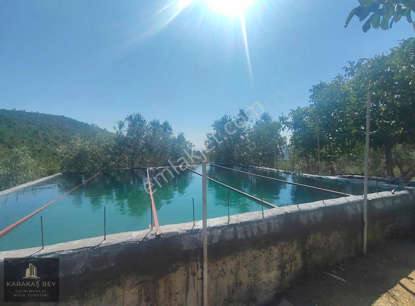 Bursa Gemlik Tarım Ve Yatırıma Uygun Satılık Manzaralı Tarla - Görsel 20