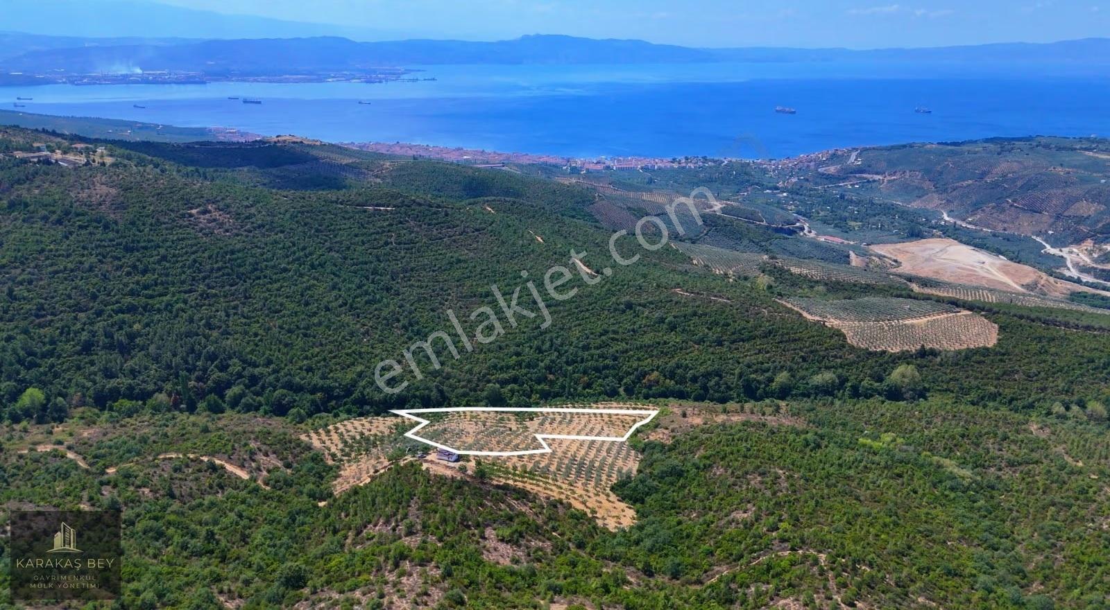 Bursa Gemlik Tarım Ve Yatırıma Uygun Satılık Manzaralı Tarla - Görsel 19