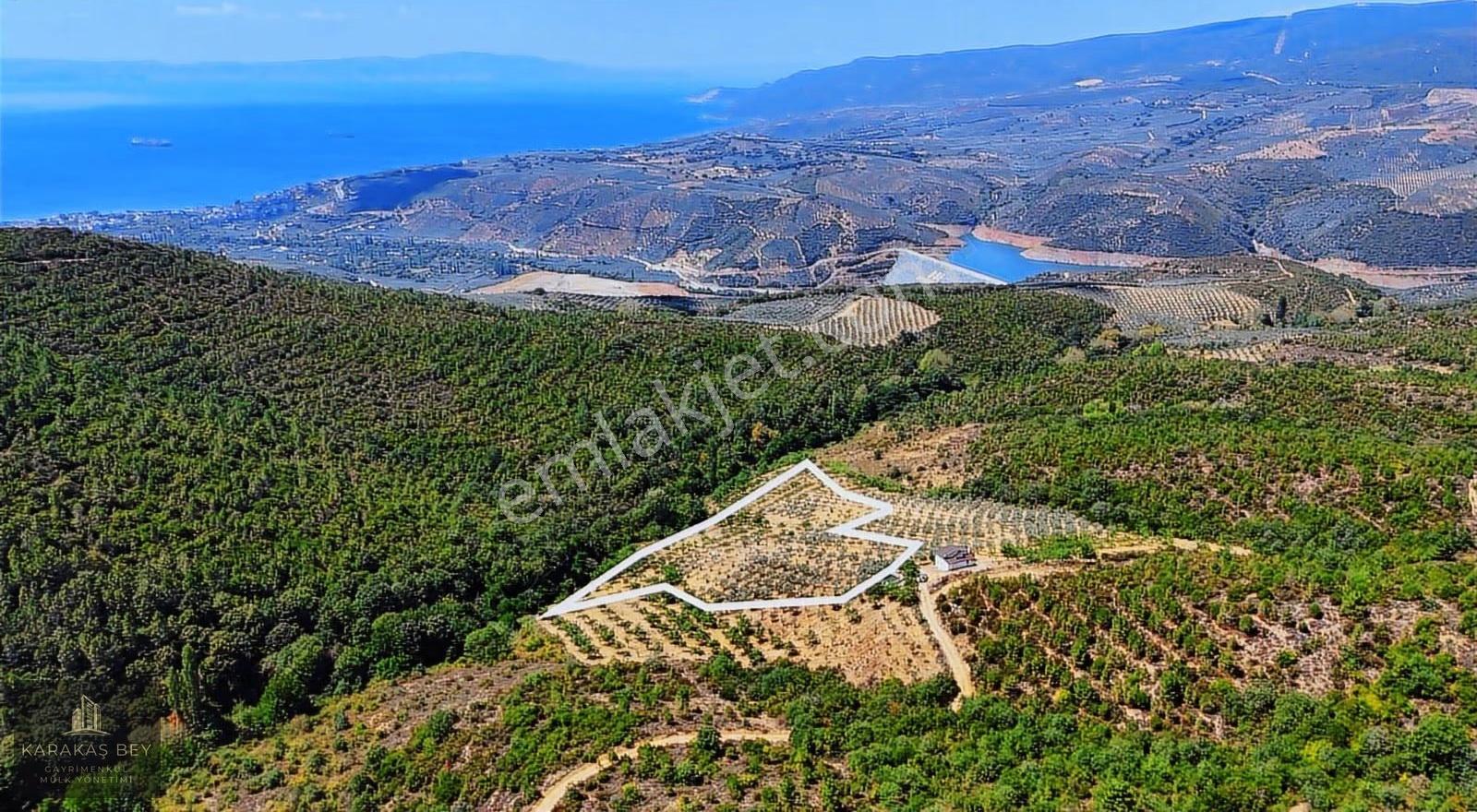 Bursa Gemlik Tarım Ve Yatırıma Uygun Satılık Manzaralı Tarla - Görsel 13