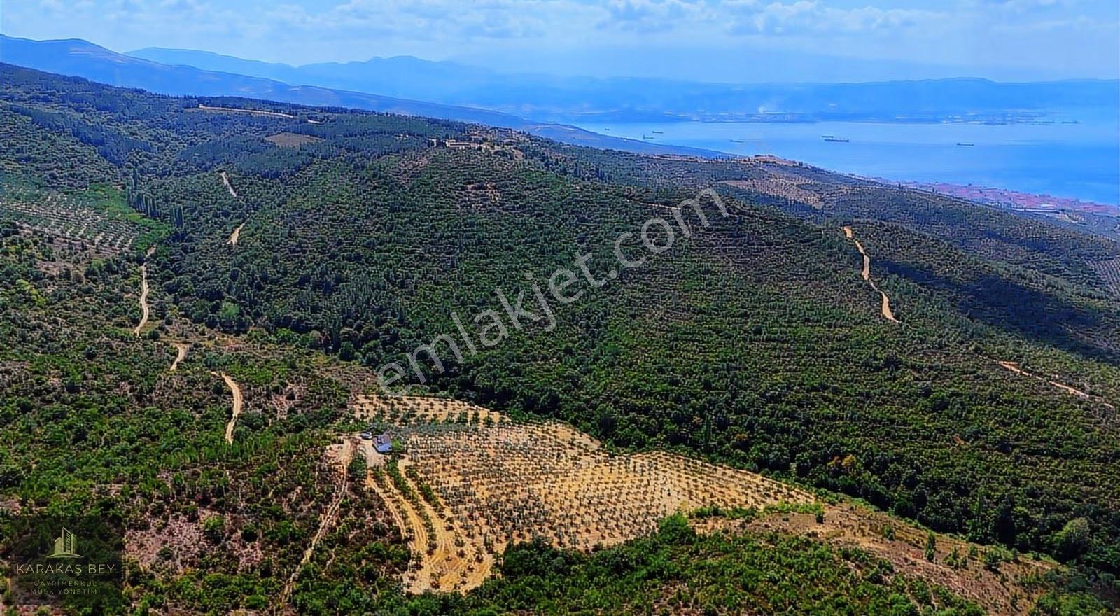 Bursa Gemlik Tarım Ve Yatırıma Uygun Satılık Manzaralı Tarla - Görsel 14