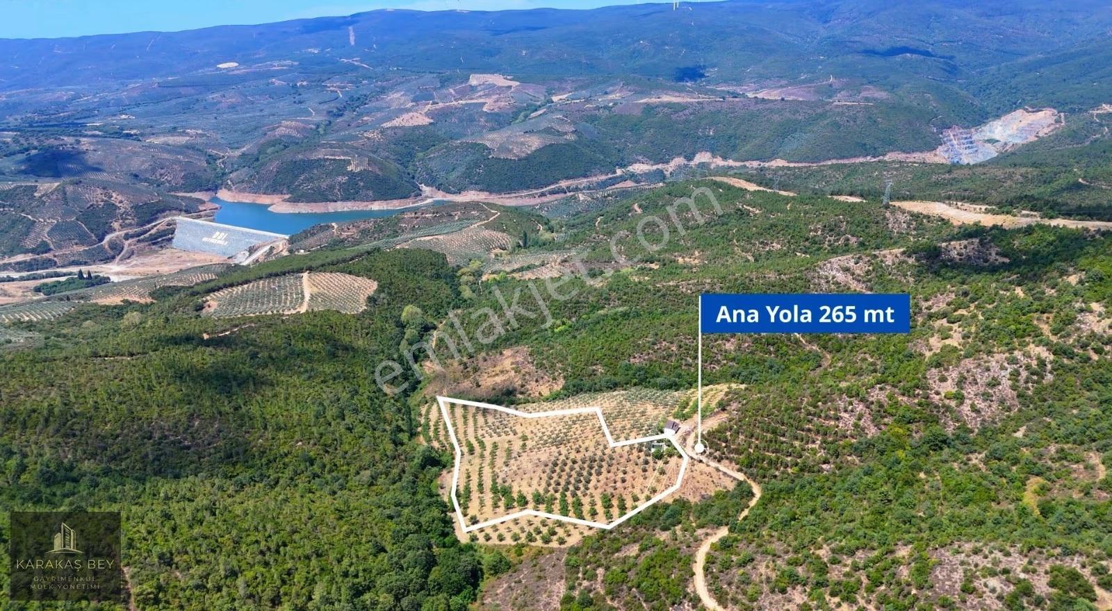 Bursa Gemlik Tarım Ve Yatırıma Uygun Satılık Manzaralı Tarla - Görsel 9