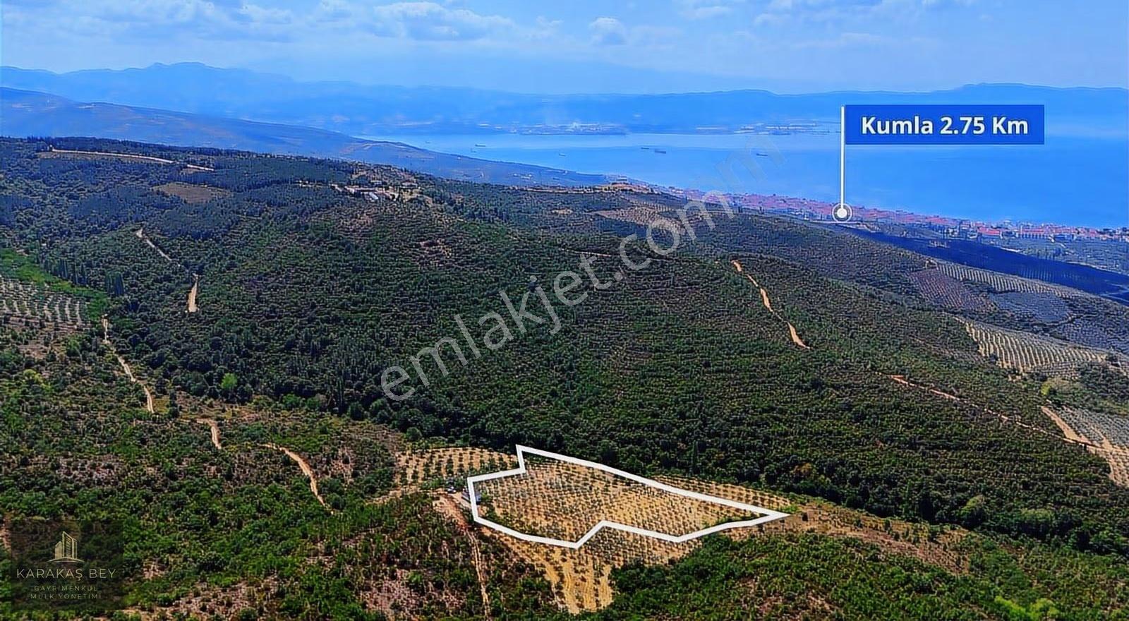 Bursa Gemlik Tarım Ve Yatırıma Uygun Satılık Manzaralı Tarla - Görsel 8