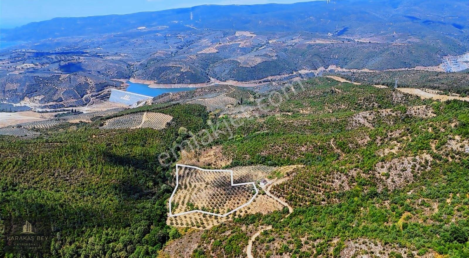 Bursa Gemlik Tarım Ve Yatırıma Uygun Satılık Manzaralı Tarla - Görsel 18