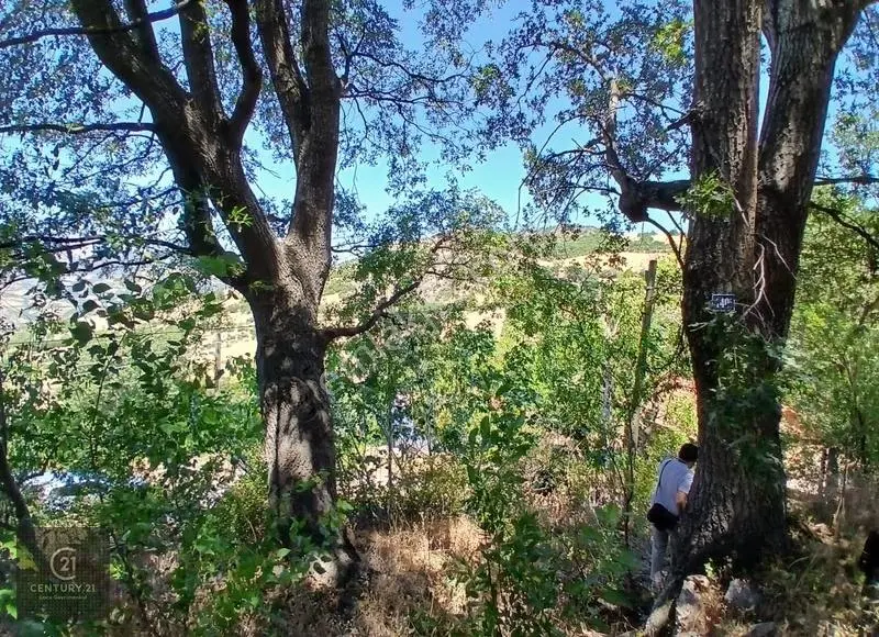 C21 Locadan Kepsut Sayacık Mahallesinde Konut İmarlı 1229m2 Arsa - Görsel 12