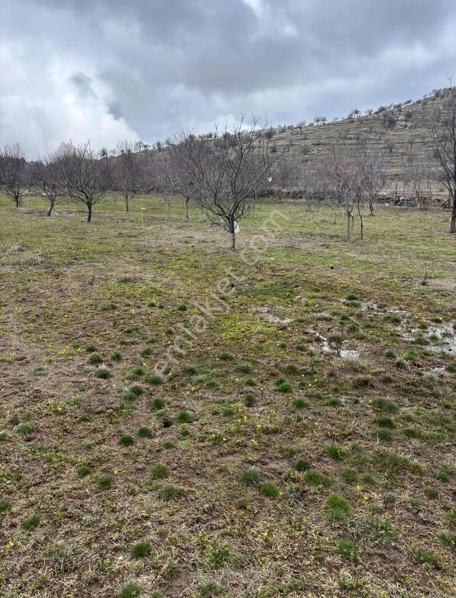 Afyon/büyükkalecik Te Satılık 13598 M2 Tarla - Görsel 4