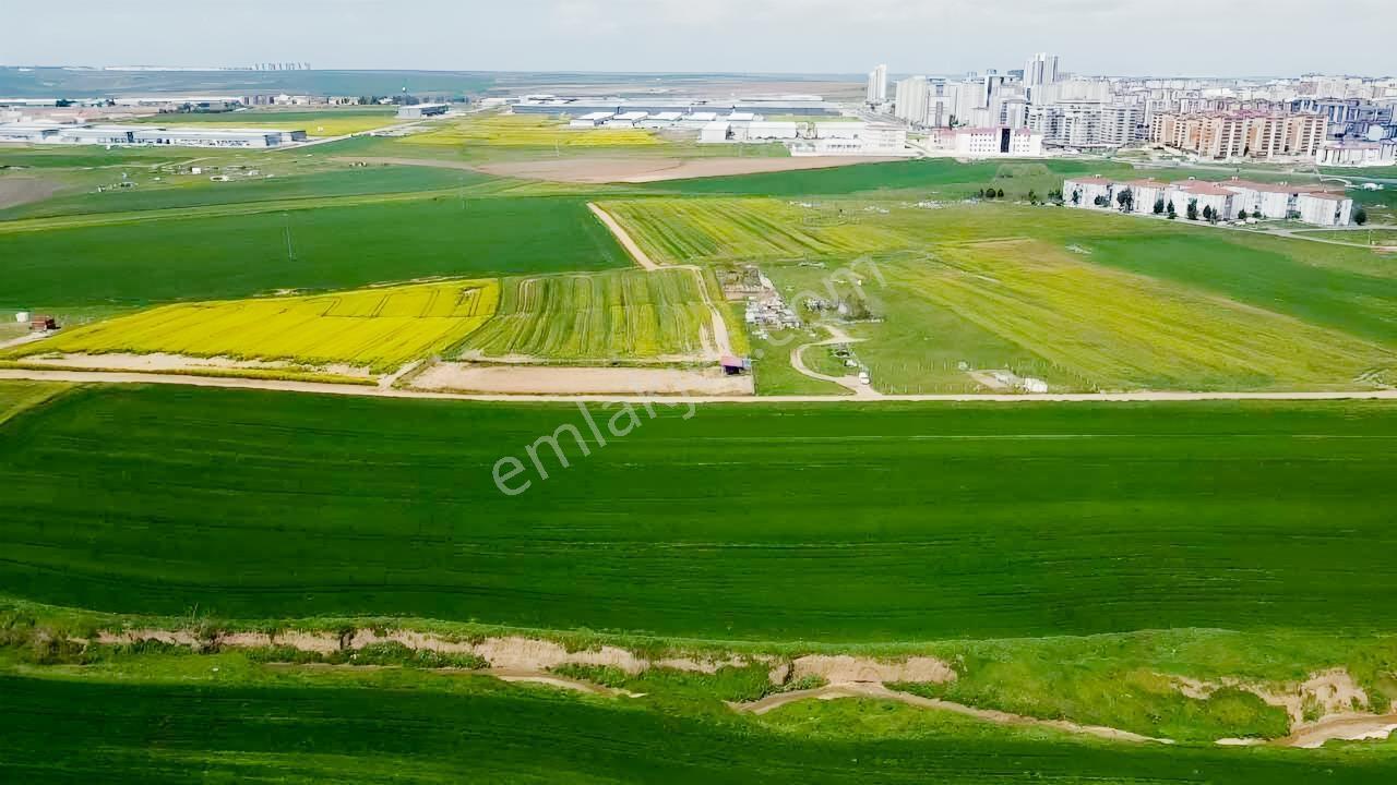 Çorlu Şeyhsinan Mah De 647 M2 Fırsat Arsa 3 Kat İmarlı - Görsel 22
