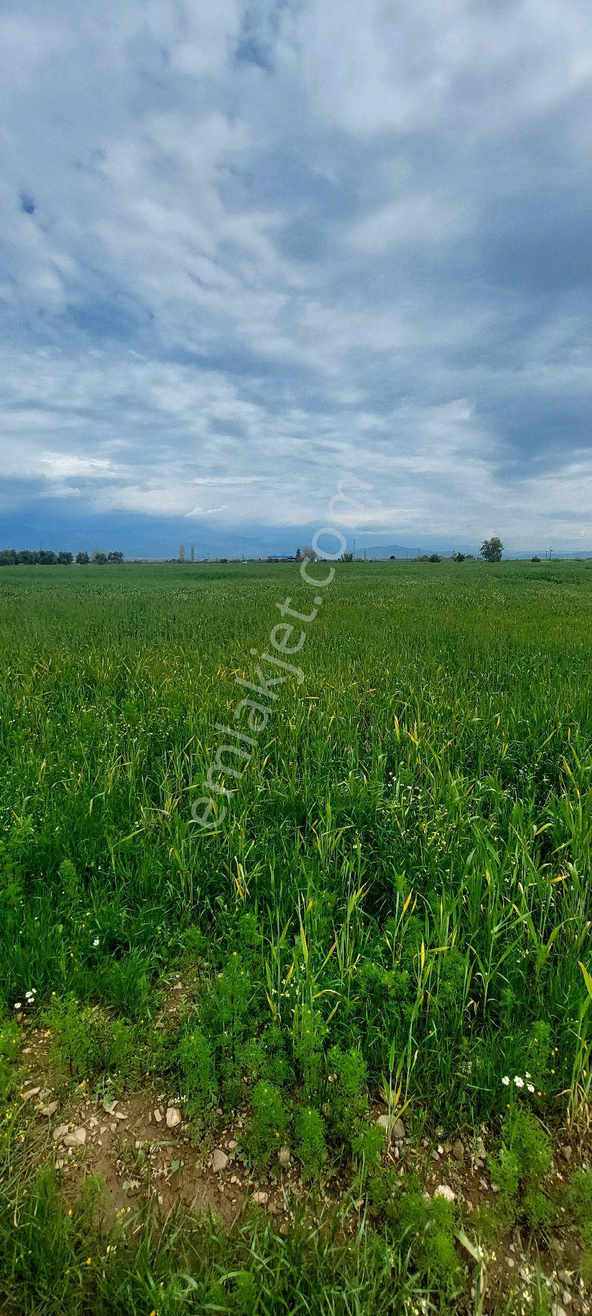 10250 M2 Dümdüz Arazi - Görsel 8