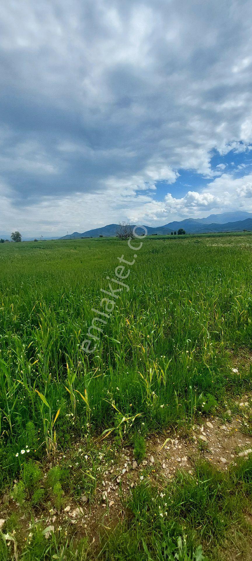 10250 M2 Dümdüz Arazi - Görsel 5