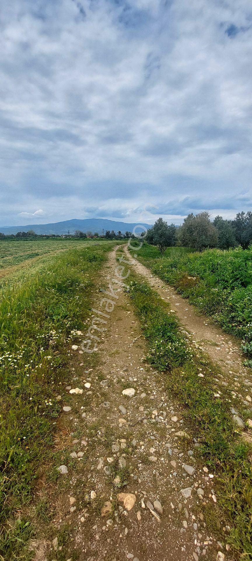 10250 M2 Dümdüz Arazi - Görsel 11