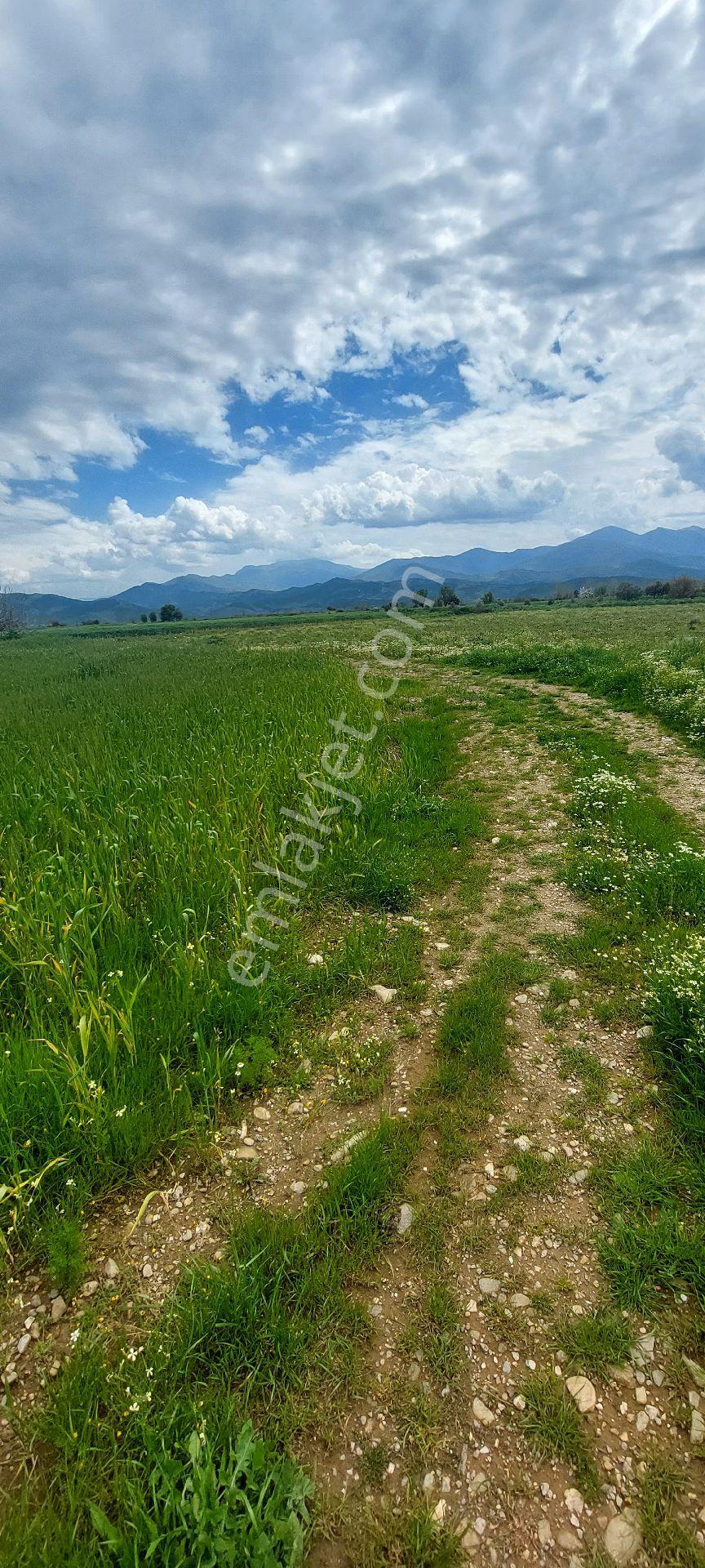 10250 M2 Dümdüz Arazi - Görsel 6