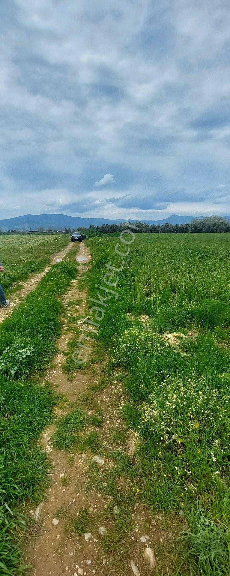 10250 M2 Dümdüz Arazi - Görsel 3