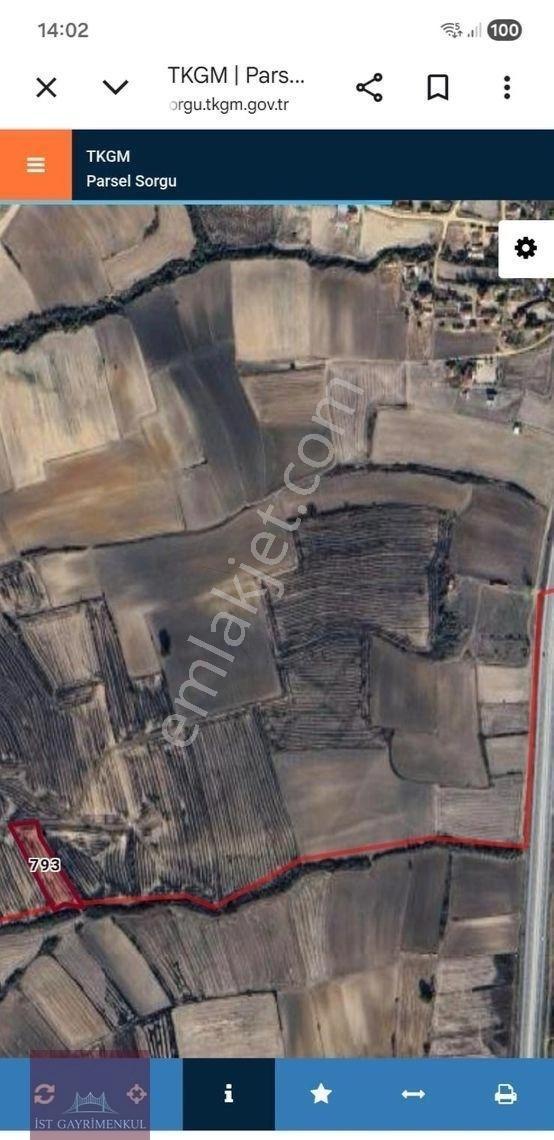 Edirne Havsa Kuzucuda Satılık Uygun Fiyatlı Tarla