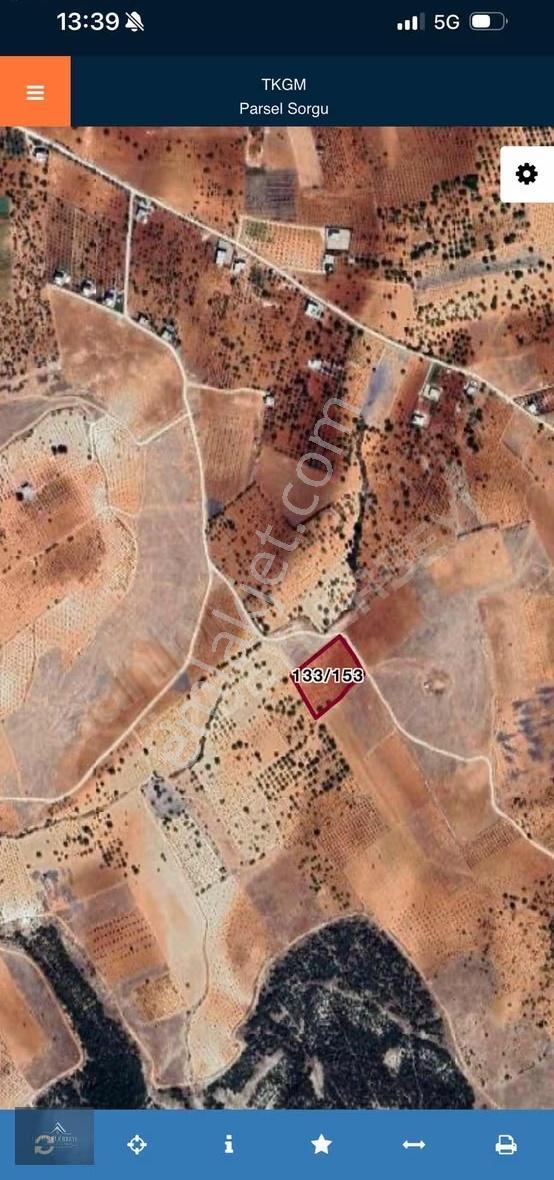 Suboğazda Satlık Ceviz,bağ Bahçesi - Görsel 3