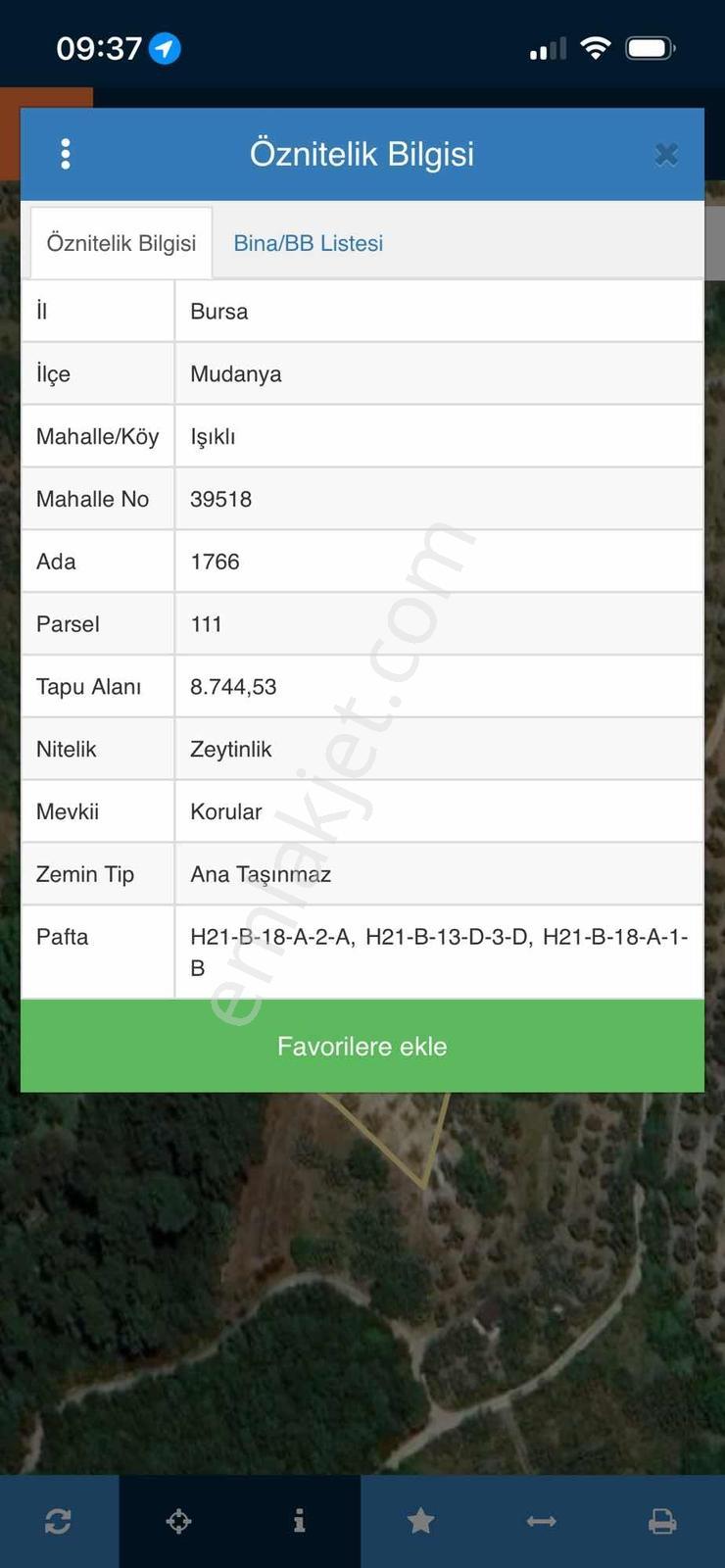 Imk Immobılıen By Berce- Işıklıda 4372 M2 Satılık Zeytinlik - Görsel 3